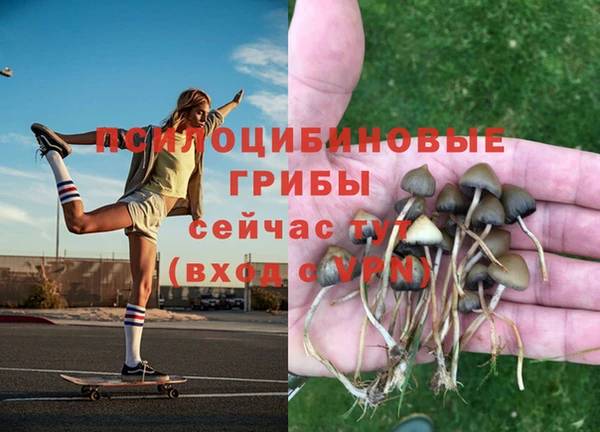 гашик Армянск