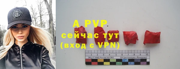 эйфоретик Арсеньев