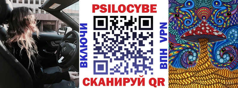 Галлюциногенные грибы MAGIC MUSHROOMS  цены   это какой сайт  Гдов 